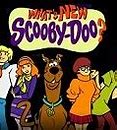 Image result for Scooby Doo Valentine