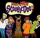 Image result for What's New Scooby Doo Halloween
