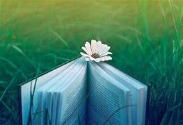 Image result for Girl Reading a Book Wallpaer