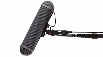 Image result for Boom Pole Mic