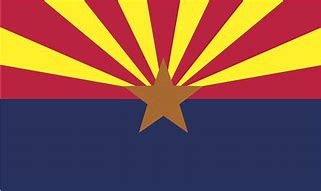 Image result for Arizona State Flag Gray