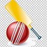 Image result for Cricket Field PNG