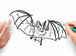 Image result for Simple Vampire Bat