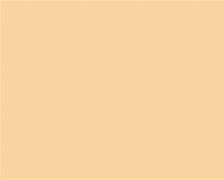 Image result for Champagne Yellow Color