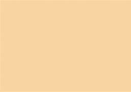 Image result for Champagne Brownish Color