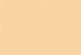 Image result for Images of Champagne Color