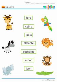 Image result for Vocabulario En Español Para Niños