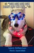 Image result for Husky Christmas Meme