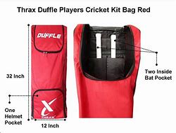 Image result for Cricket Bug Costume