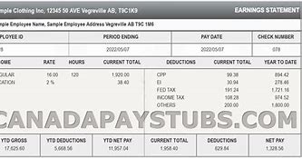 Image result for ADP Paycheck Stub Template Editable