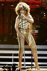 Image result for Tina Turner Clothes