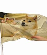 Image result for Doge Flag