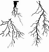 Image result for Lightning Bolt Airbrush Stencil