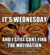 Image result for Wednesday Puns
