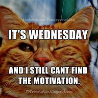 Image result for Wednesday Funny Memes About Work