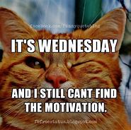 Image result for Funny Wednesday Cat