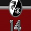 Image result for Freiburg FC Logo