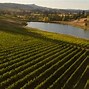 Image result for Montinore Estate Maialata
