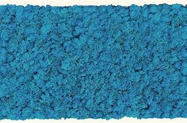 Image result for Blue Moss