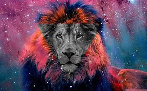 Image result for Galaxy Lion