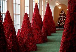 Image result for The United States White House