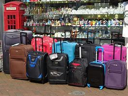 Image result for 25'' Luggage Bags