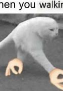 Image result for Cat Walking Out Meme