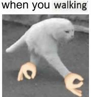 Image result for Cat Meme Walking Hind Legs