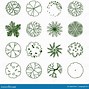 Image result for Drafting Tree Symbols