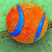 Image result for Beach Ball Animation