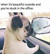 Image result for Out of Office Meme Funny