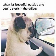 Image result for Out of Office Work Meme