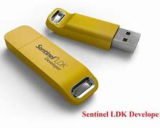 Image result for Sentinel USB Dongle
