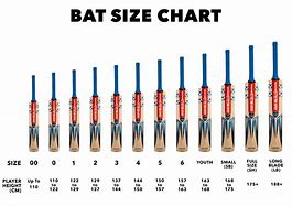 Image result for Size 4 Cricket Bat