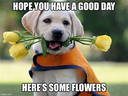 Image result for Have a Good Day Meme Cute