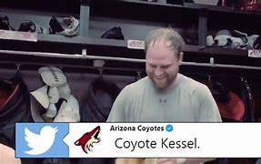 Image result for Arizona Coyotes Memes