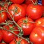 Image result for Types of Tomato