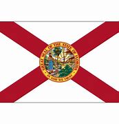 Image result for Florida Flag Small