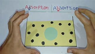 Image result for Adsorption and Absorption