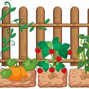 Image result for Vegetable Garden Cartoon