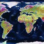 Image result for Earth Physical Map