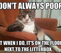 Image result for Cat Poop Picture Memes