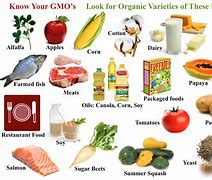 Image result for GMO Foods List