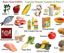 Image result for What Is a GMO