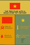 Image result for vietnamese flags mean