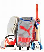 Image result for Puma Cricket Bag