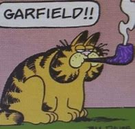 Image result for Weed Snorter Cat Meme
