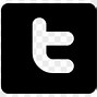 Image result for Tnew Twitter Logo