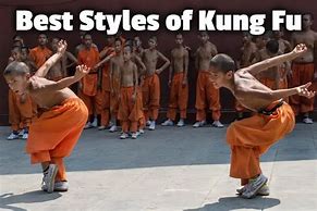 Image result for All Kung Fu Styles
