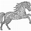 Image result for Adult Horse Coloring Pages